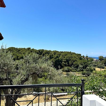 Pandora Studios Skiathos Kolios Exterior photo